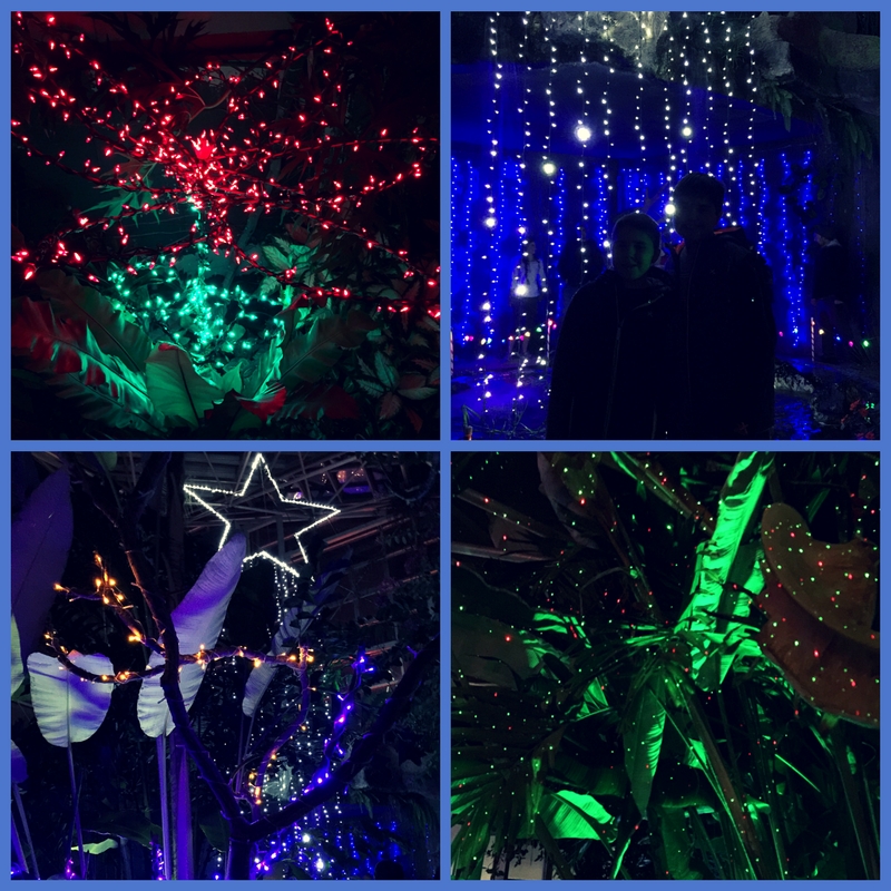Amarillo Botanical Gardens at Christmas Where Connor and JT Go