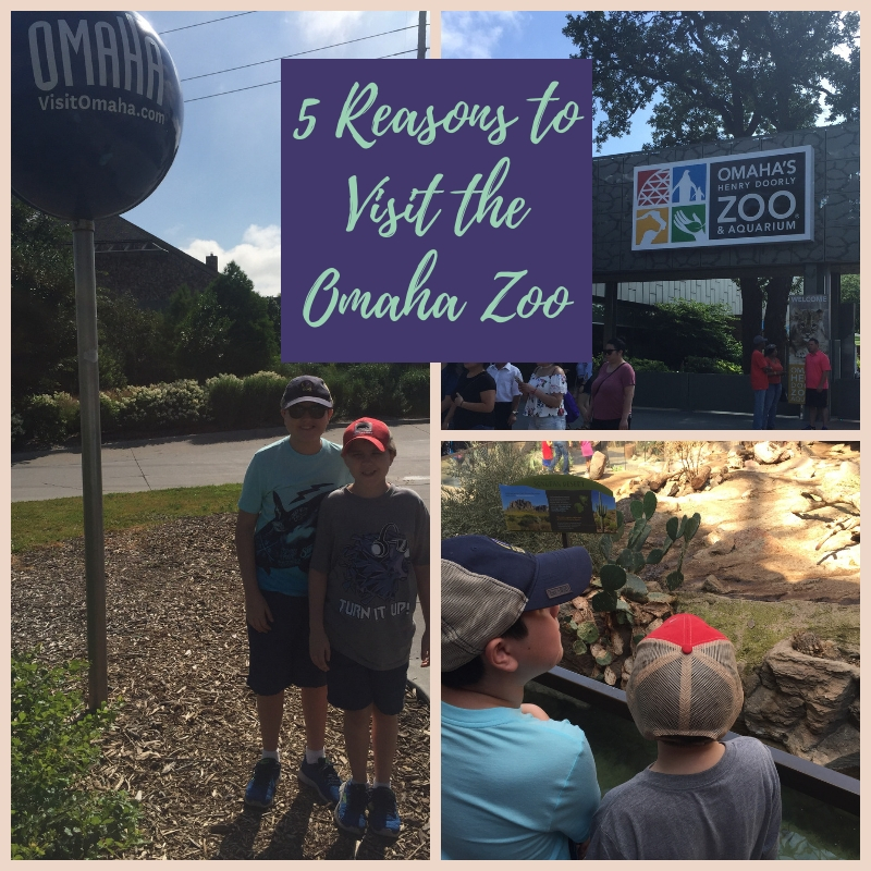 5 Reasons to Visit Omaha's Henry Doorly Zoo